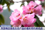 国家发改委：我国确定首批生态产品价值实现机制试点