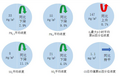 生态环境部公布2024年6月和1—6月全国环境空气质量状况