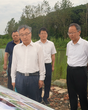 省生态环境厅党组书记、厅长曹哨兵调研督导巢湖生态环境问题整改  