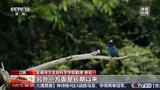 武夷山国家公园发现脊椎动物新物种 记者实地探访