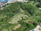 2023年六安市水土保持公报发布 水土流失面积较上一年减少36.12平方公里