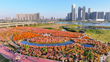 蚌埠“靓淮河”景区花海：引爆淮畔最热打卡点