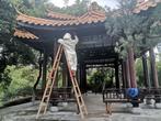 民生提醒：有胡蜂出没 合肥市逍遥津公园逍遥墅区域临时封闭