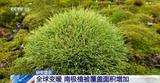南极变绿？快速变暖地区的植被覆盖面积迅速增加
