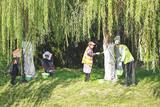 合肥市庐阳区1.8万余株树木穿上“过冬衣”
