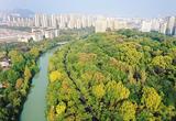 巢湖秋韵尽染景满城