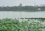 黑臭水体成靓丽风景线 铜陵市扎实推进荷花塘生态环境综合整改
