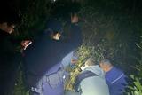 黄山：国家“三有”保护动物黄麂被网缠住 获救助后重归山林
