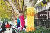 合肥大树“穿”上可爱毛衣 专家提醒：毛衣穿久易生虫，天暖需要及时脱