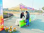 巢湖：纸钱换鲜花 倡导文明祭祀