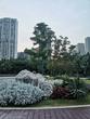 池州建成37个口袋公园