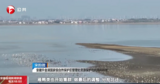 池州：升金湖越冬候鸟“集结” 蓄势待北归