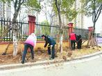 合肥庐阳区：全民植树添新绿 不负春光正当时