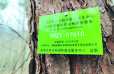 巢湖：防治松材线虫病 筑牢绿色生态屏障