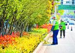巢湖市：“绣花功夫” 扮靓城市颜值