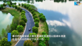 阜阳颍上：春日湿地宛如“天空之镜”