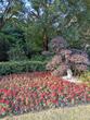 45万株草花“上新” 淮北全面开启春季草花更换工作
