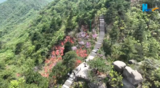 九华山：“天街花市”惹人醉