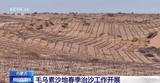 穿绳进土种植被 新装备、新模式解锁万亩沙地“治沙密码”