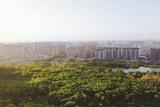 淮南：城市“绿肺”悄然换装
