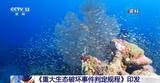 重大生态破坏事件如何判定？新规填补制度空白