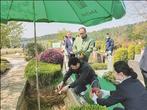 从“烟火”到“花香” 宣城清明绿色祭扫成主流