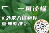 一图读懂《外来入侵物种管理办法》