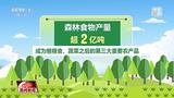 年均超亿亩！全球增绿最快最多 我国“绿色家底”不断增厚