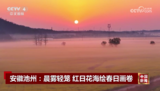 池州：晨雾轻笼 红日花海绘春日画卷