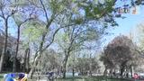 多地气温将达30℃以上 北方局地或有沙尘天气
