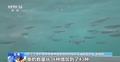 生物多样性保护“上大分” 我国200多种野生动物恢复性增长