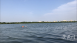 六安市6条河流入选省级幸福河湖名单
