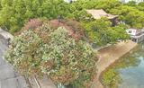 芜湖：红白交织 花开正艳
