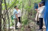 芜湖弋江区：多措并举推进长江干流入河排污口整治