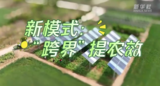 农业“上新”移轴看｜新模式：光伏跨界增效益
