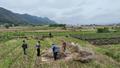 黟县：秸秆“变废为宝” 绘就绿色发展新图景
