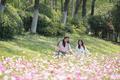 合肥滨湖新区初夏花海美出圈 今年新种植草花、播撒花籽约6.5万平方米