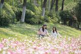 合肥滨湖新区初夏花海美出圈 今年新种植草花、播撒花籽约6.5万平方米