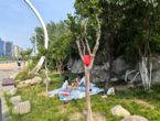 守护公共环境 别让不文明行为煞了风景