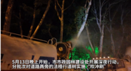 深夜出击！淮南“硬核”治理法梧飘絮