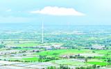 六安：“大风车”转出田野新风景
