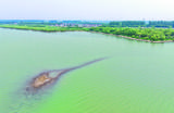 巢湖现天然“微型陆岛” 地质专家：巢湖生态环境变好是重要原因