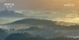 池州：夏日晨韵，白洋河畔绘就国风山水画卷