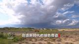 久久为功 祖国北疆筑起抵御风沙“绿色长城”