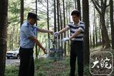自学技术繁殖野生斑鸠贩卖，巢湖一男子牟利千元被抓获