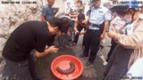 家中闯入个“稀罕客” 肥东警民联手救助
