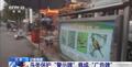 国家级保护鸟类在市场“随便卖”！盗猎鸟类黑灰产业链曝光