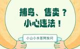 小山小水答网友问 | 捕鸟、售卖？小心违法！