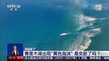 真相来了丨你以为的“污染”其实是大自然的礼物 详解赛里木湖“黄色泡沫”成因